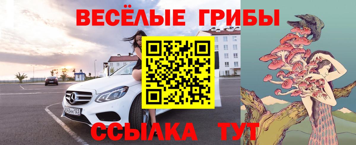Псилоцибиновые грибы Cubensis Кизилюрт